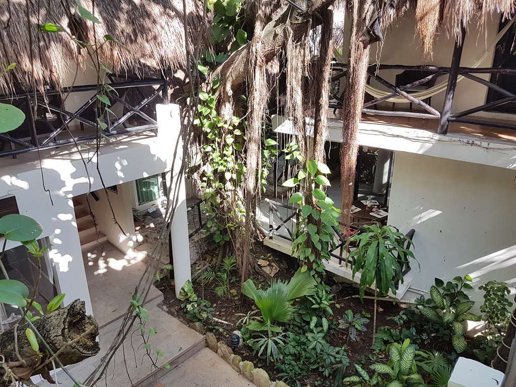 Hotel Club Yebo Playa del Carmen Bekvemmeligheder billede