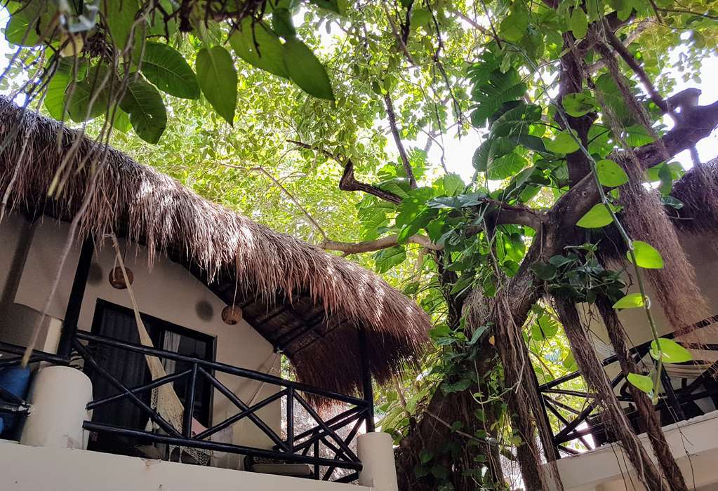 Hotel Club Yebo Playa del Carmen Eksteriør billede
